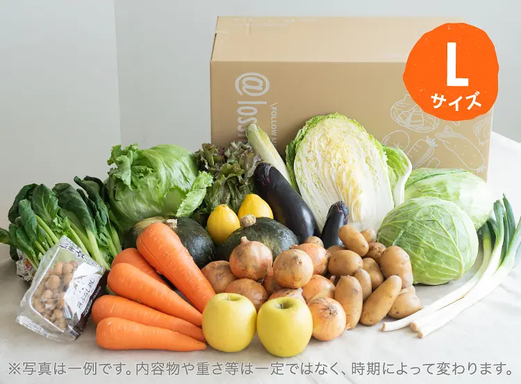 8月のお届け野菜の例(Lサイズ)