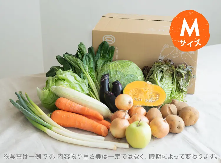 8月のお届け野菜の例(Mサイズ)