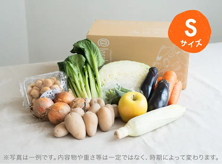 8月のお届け野菜の例(Sサイズ)