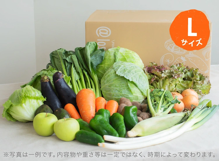 9月のお届け野菜の例(Lサイズ)