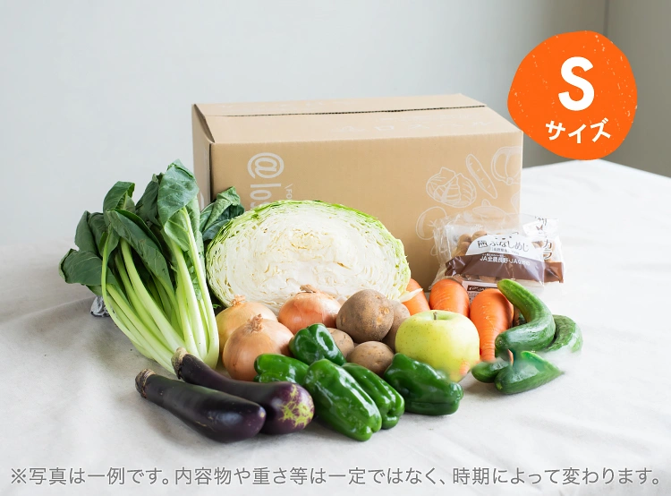 9月のお届け野菜の例(Sサイズ)