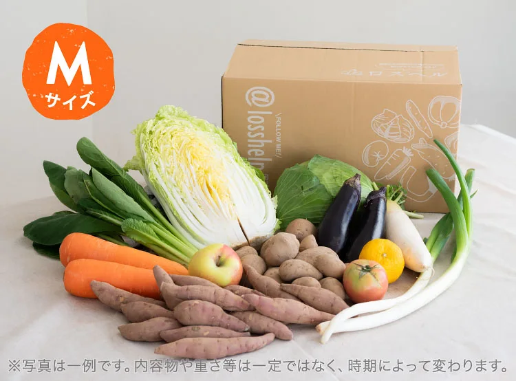 11月のお届け野菜の例(Mサイズ)
