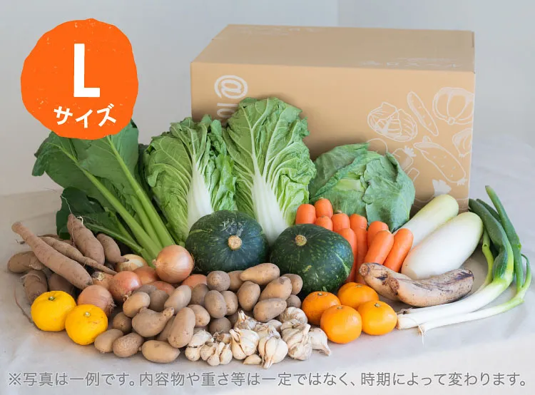 12月のお届け野菜の例(Lサイズ)