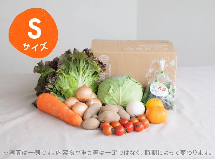 1月のお届け野菜の例(Sサイズ)