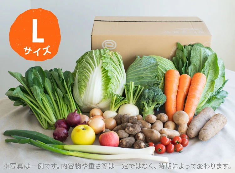 2月のお届け野菜の例(Lサイズ)