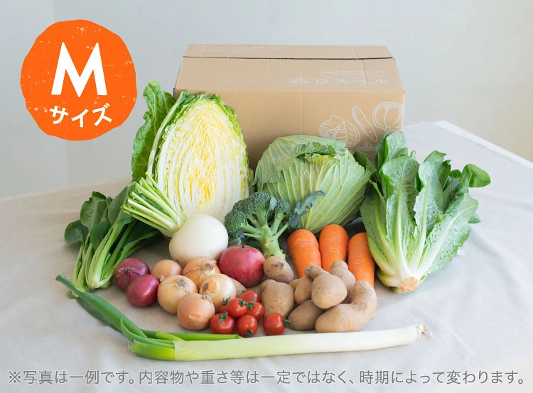 2月のお届け野菜の例(Mサイズ)