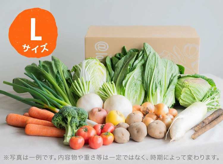 3月のお届け野菜の例(Lサイズ)