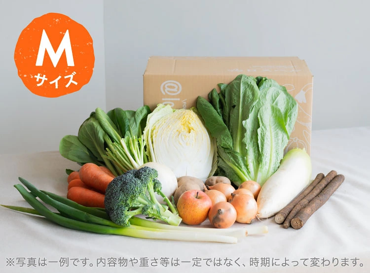 3月のお届け野菜の例(Mサイズ)