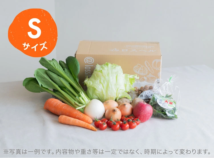 3月のお届け野菜の例(Sサイズ)