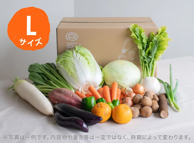 4月のお届け野菜の例(Lサイズ)