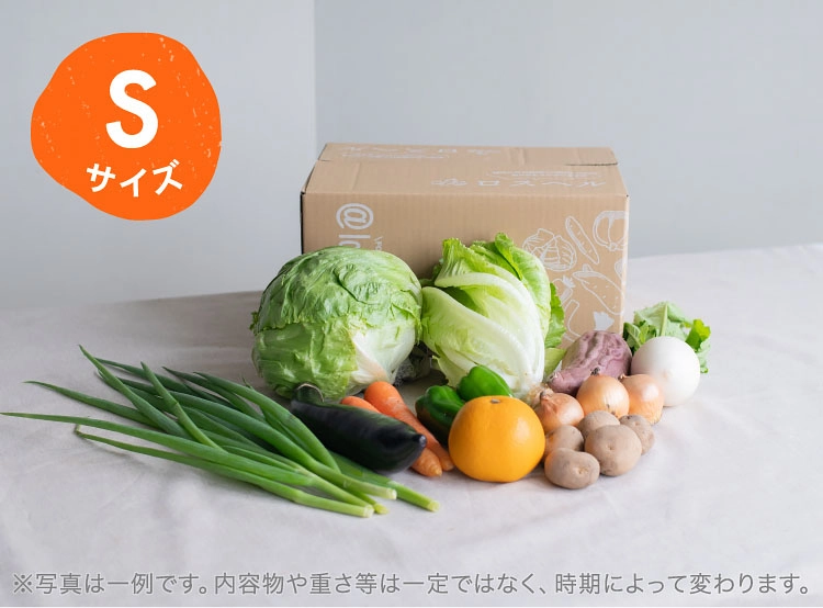 4月のお届け野菜の例(Sサイズ)