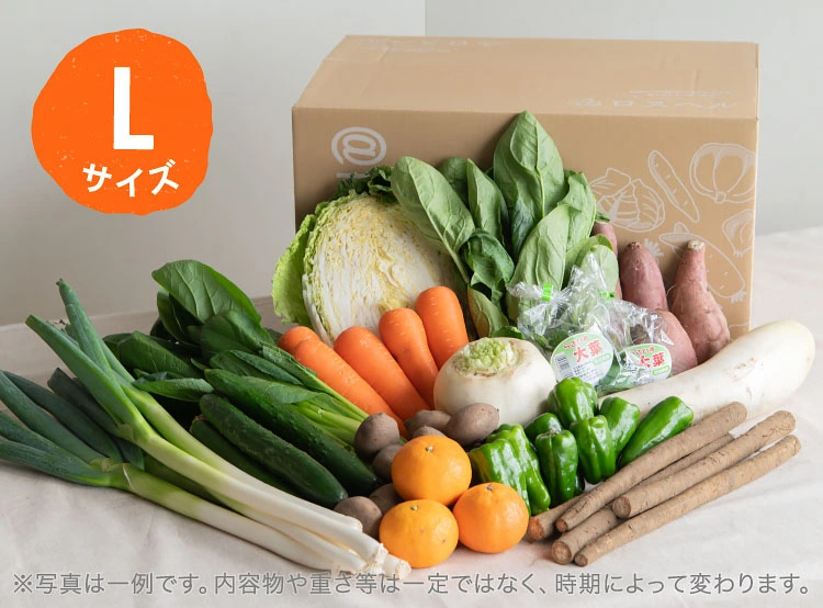 5月のお届け野菜の例(Lサイズ)