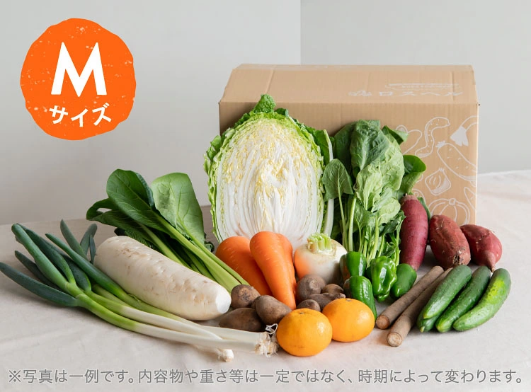 5月のお届け野菜の例(Mサイズ)