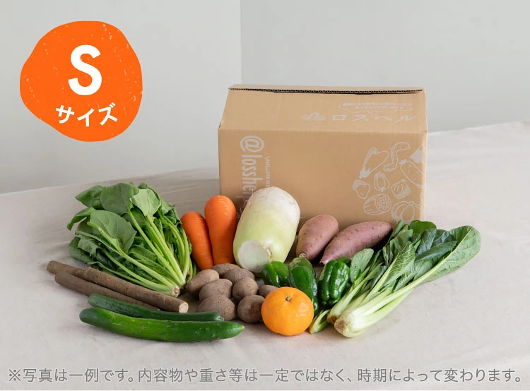 5月のお届け野菜の例(Sサイズ)