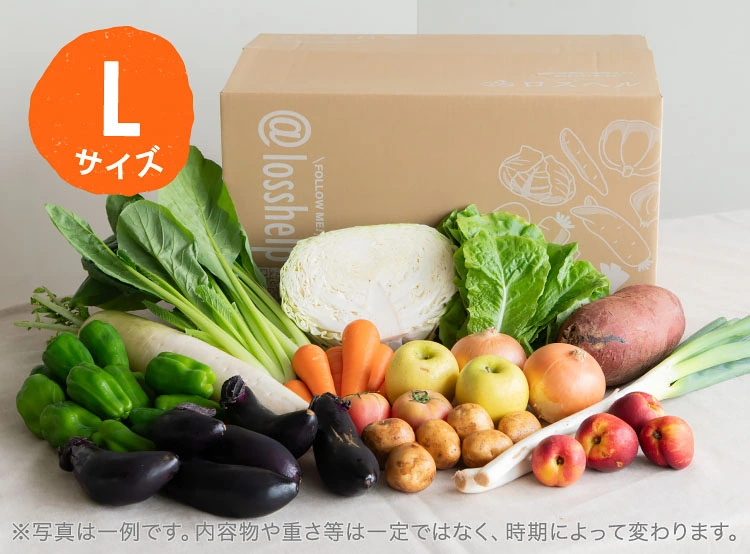 6月のお届け野菜の例(Lサイズ)