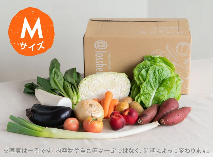 6月のお届け野菜の例(Mサイズ)