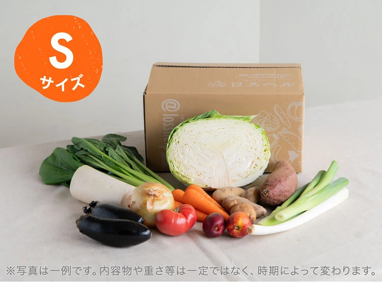 6月のお届け野菜の例(Sサイズ)