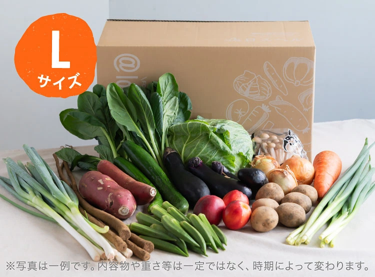7月のお届け野菜の例(Lサイズ)