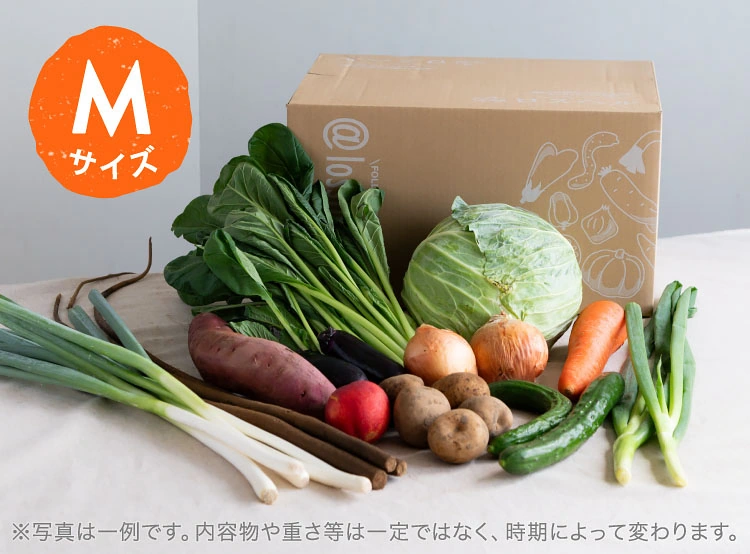 7月のお届け野菜の例(Mサイズ)
