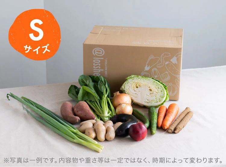 7月のお届け野菜の例(Sサイズ)
