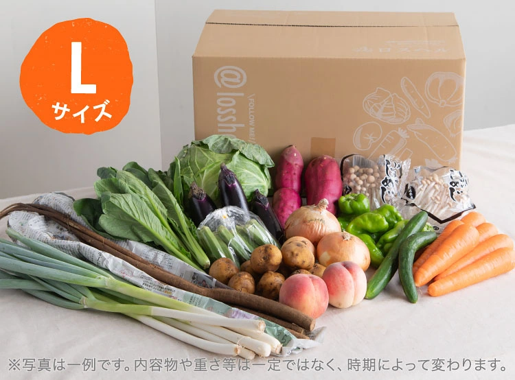 8月のお届け野菜の例(Lサイズ)