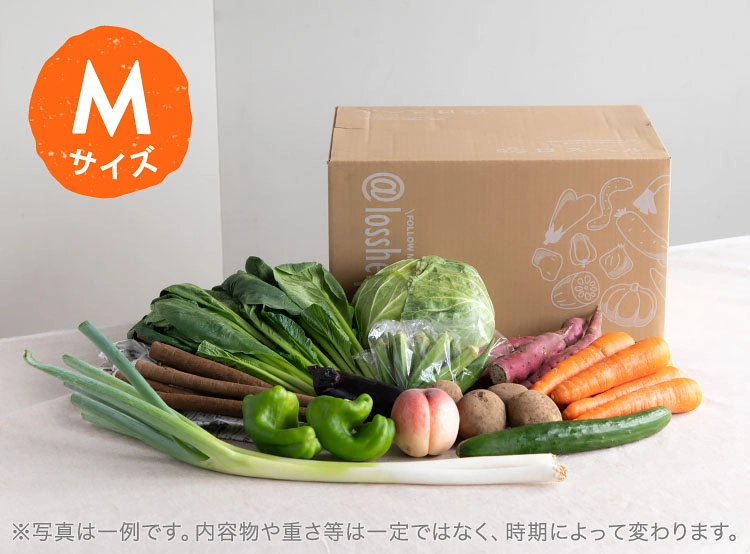 8月のお届け野菜の例(Mサイズ)