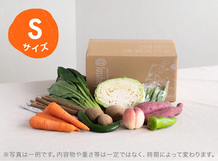 8月のお届け野菜の例(Sサイズ)