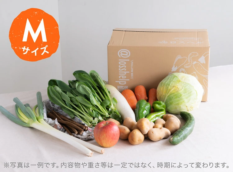 9月のお届け野菜の例(Mサイズ)