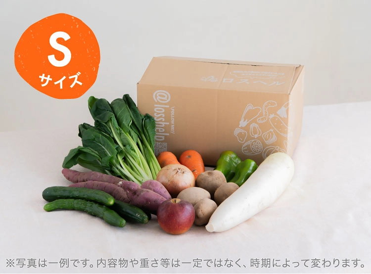 10月のお届け野菜の例(Sサイズ)