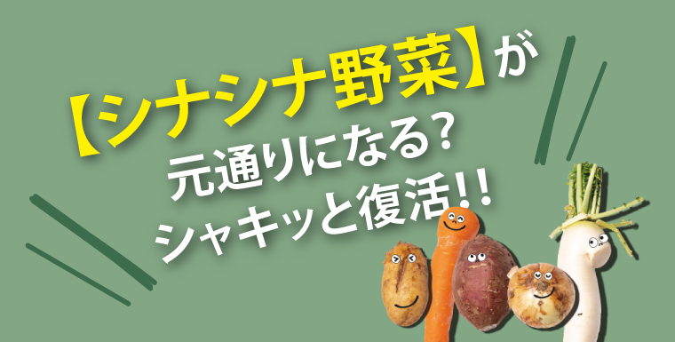【シナシナ野菜】が元通りになる？シャキッと復活！！