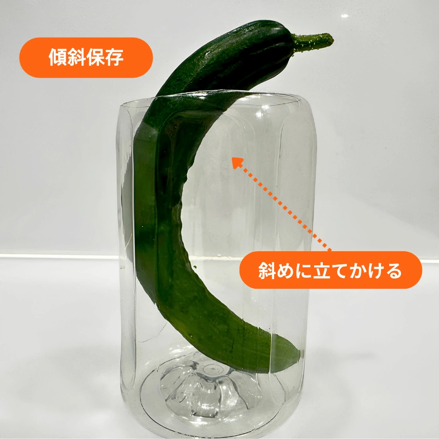 曲がったきゅうりを底を切ったペットボトル容器に斜めに立てかけた傾斜保存の実例。ヘタを上にして垂直に近い姿勢を作っている様子