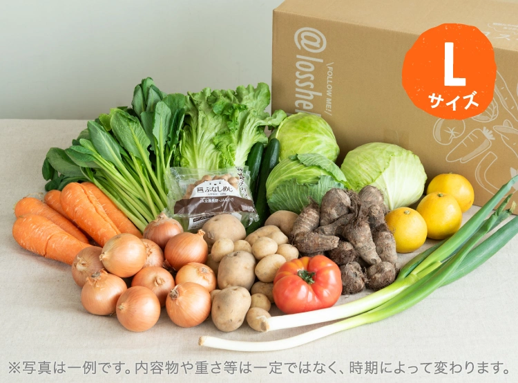 4月のお届け野菜の例(Lサイズ)