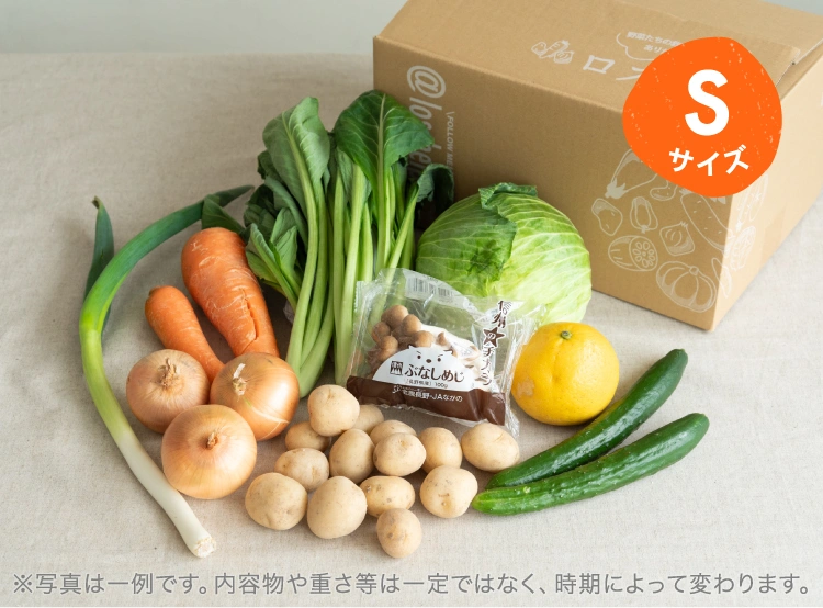 4月のお届け野菜の例(Sサイズ)