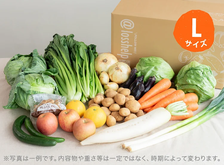5月のお届け野菜の例(Lサイズ)