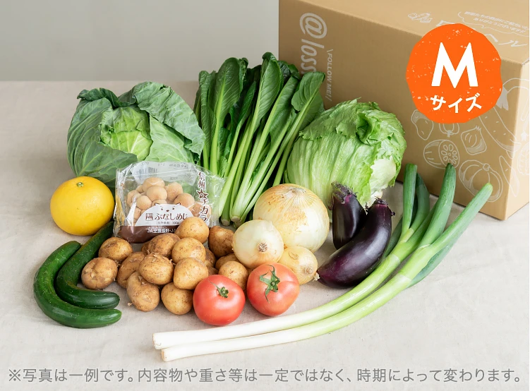 5月のお届け野菜の例(Mサイズ)