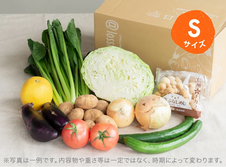 5月のお届け野菜の例(Sサイズ)