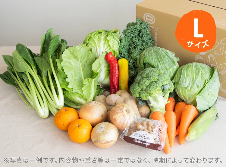 6月のお届け野菜の例(Lサイズ)