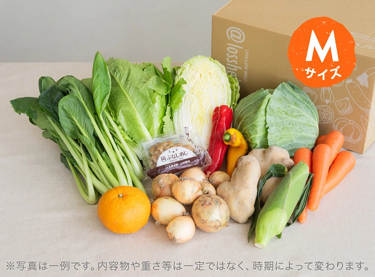 6月のお届け野菜の例(Mサイズ)