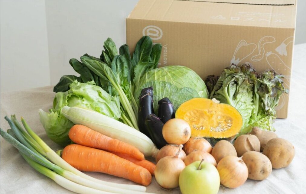 法人様向け　野菜の卸　農家・産地からの直送ルートで、安定した品質と量を、適正価格で卸します。