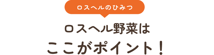 ロスヘル野菜はここがポイント！