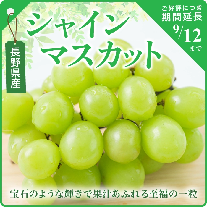 期間限定！旬の素材-シャインマスカットが入りました。