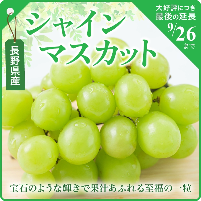 期間限定！旬の素材-シャインマスカットが入りました。
