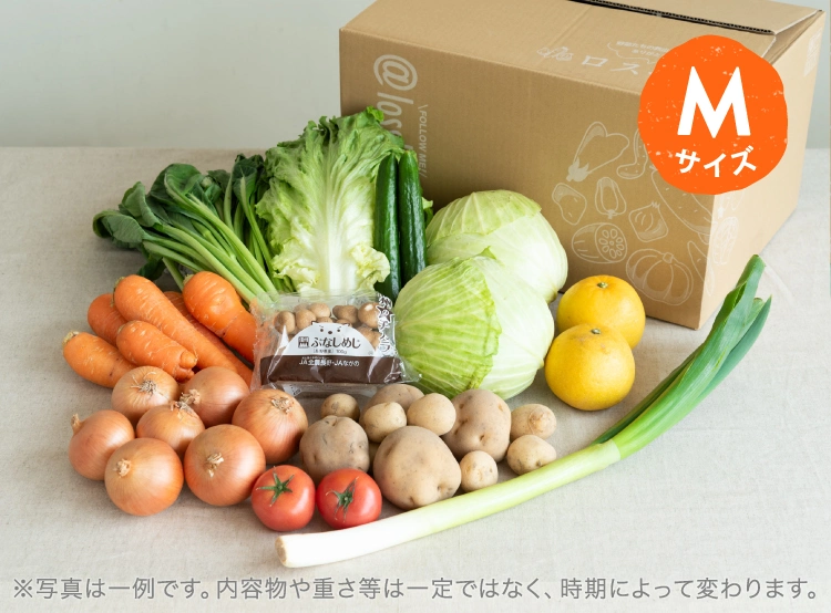 4月のお届け野菜の例(Mサイズ)