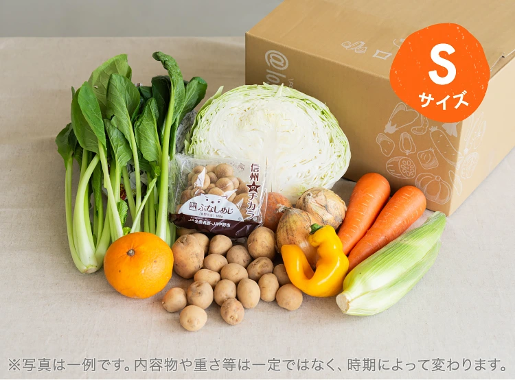 6月のお届け野菜の例(Sサイズ)