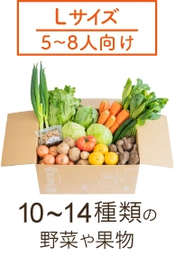 Lサイズの価格|月額4,763円（税込）　4か月目以降：5,292円（税込）