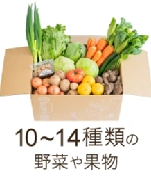Lサイズ