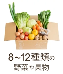 Mサイズ